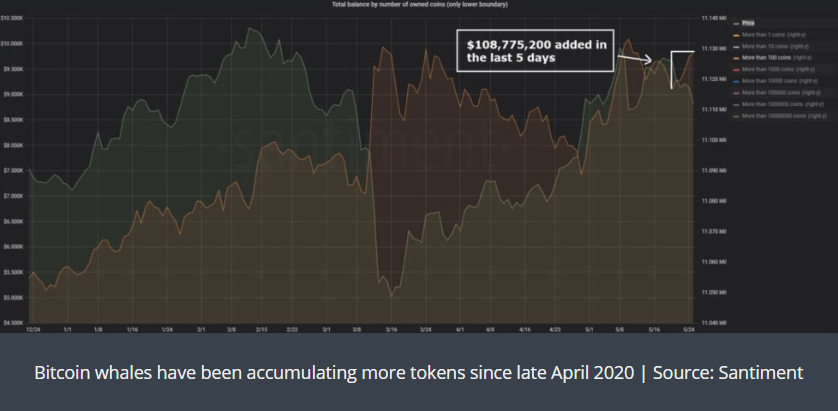 cryptocurrency market dip
